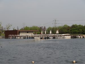 上海辰山植物園の池