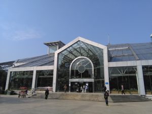 上海植物園の展覧温室