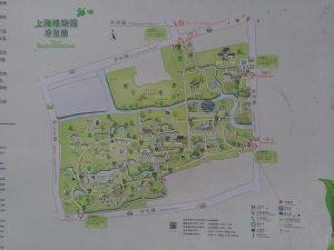 上海植物園の園内図